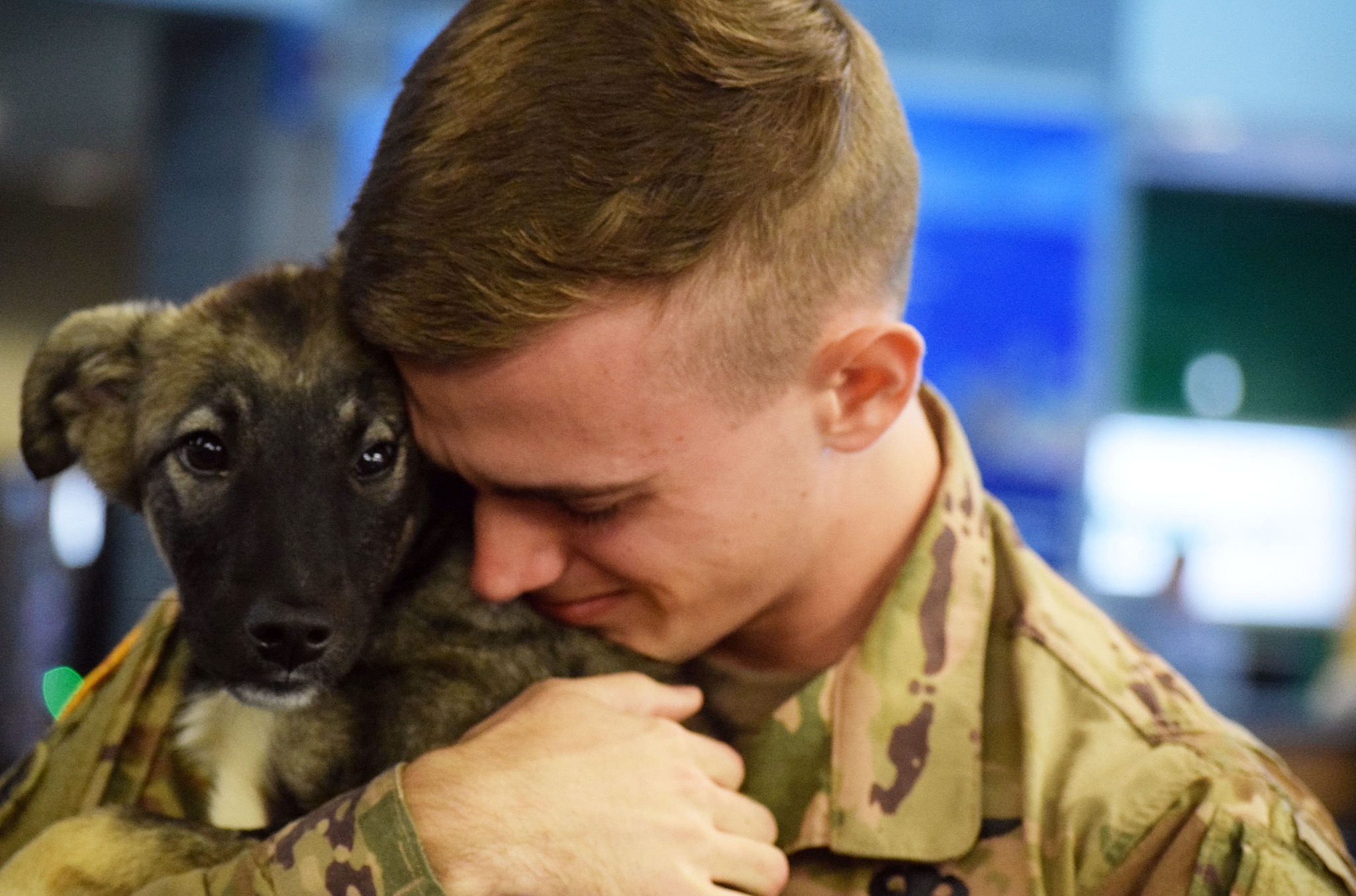 SPCA International Facebook ad: Be Their Hero. Become a Monthly Donor.