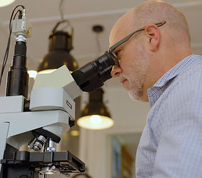 Nutrition By Garrit Facebook ad: Cellular Terrain Microscopy | Garrit Van Dijk Ltd