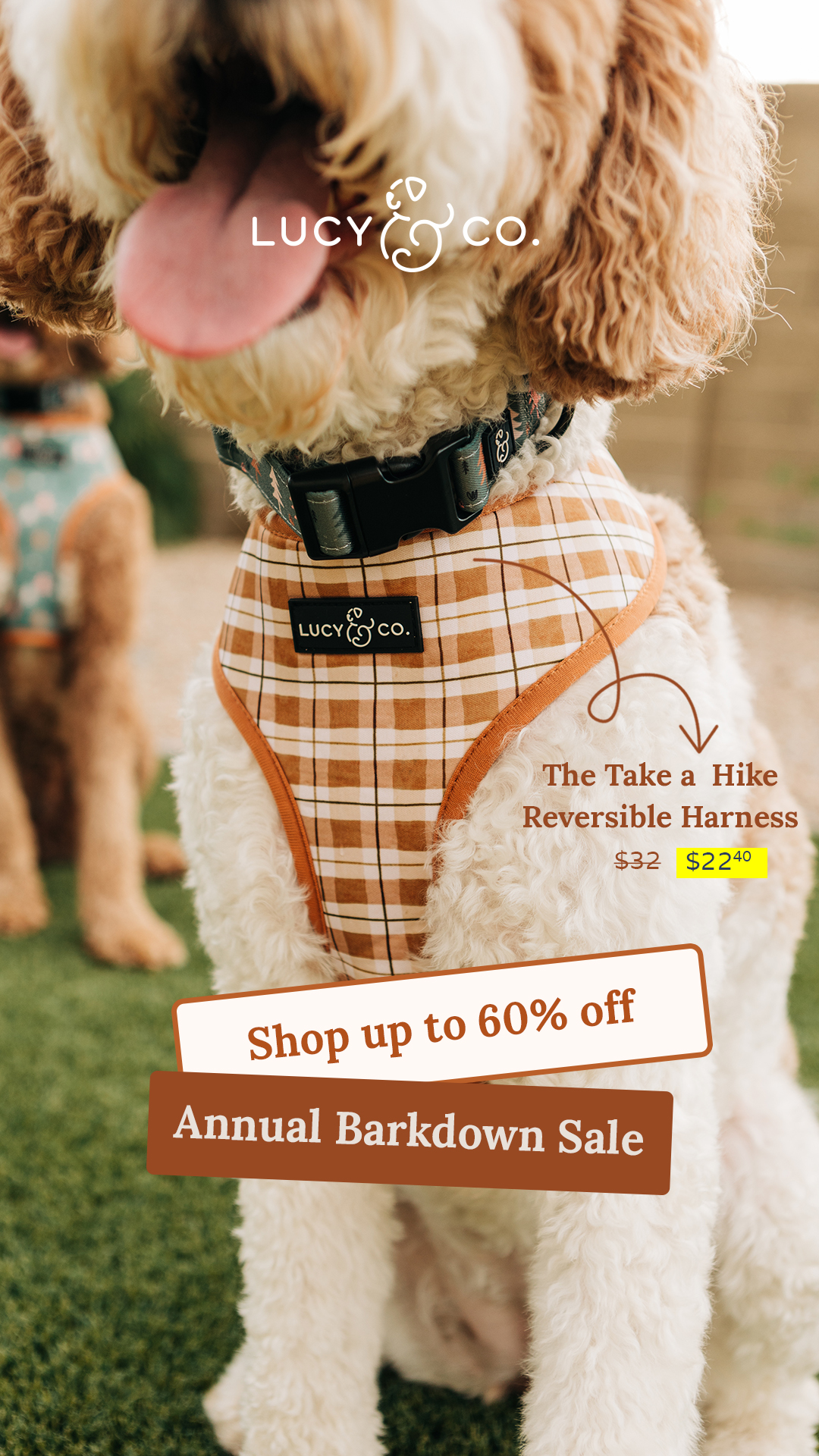 Lucy & Co. Facebook ad