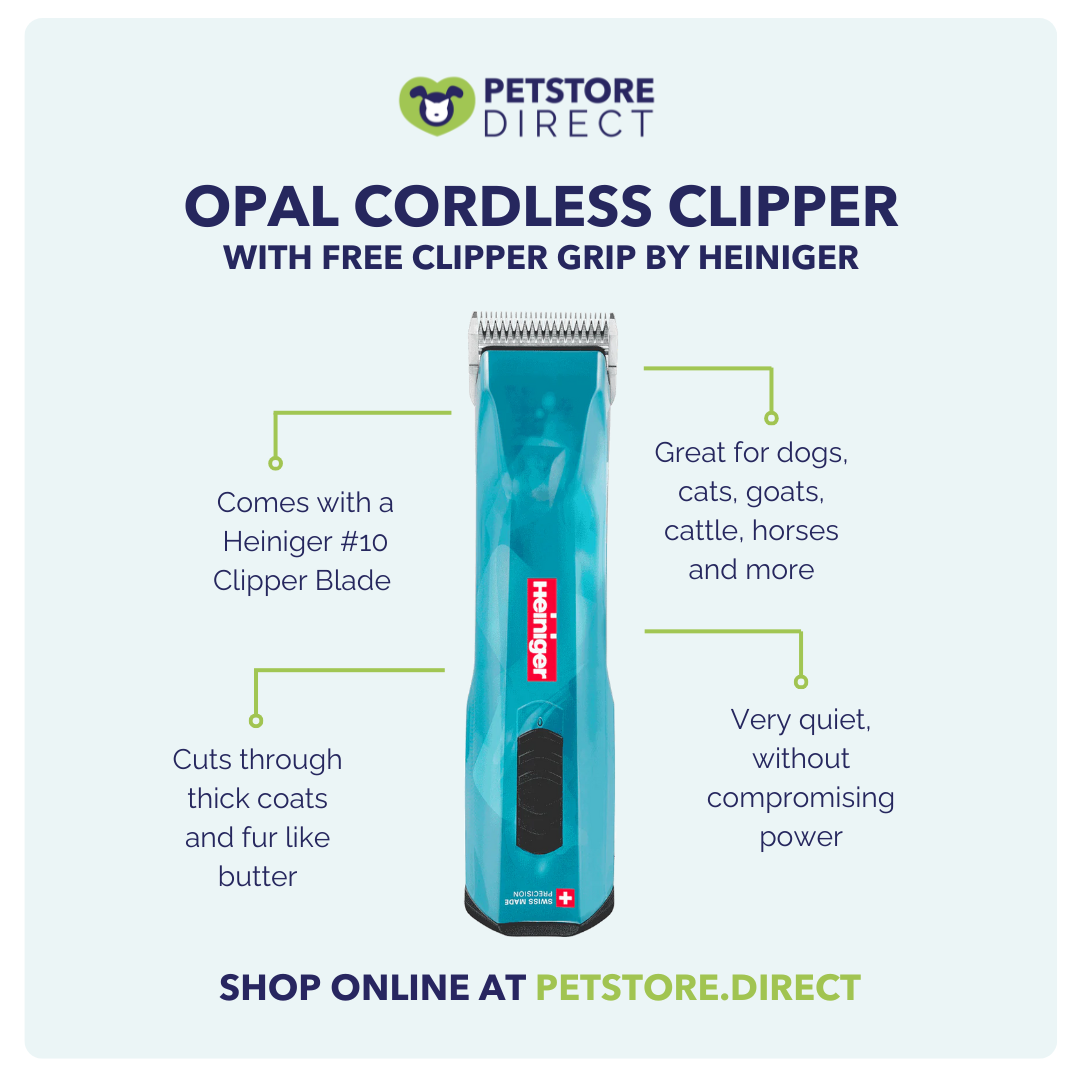 PetStore Direct Facebook ad