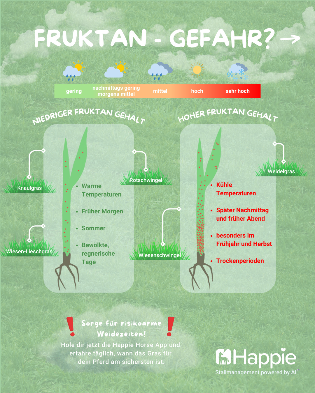Happie Horse App Facebook ad: KOLIK UND HUFREHE GEFAHR! Temperaturanstieg in den…