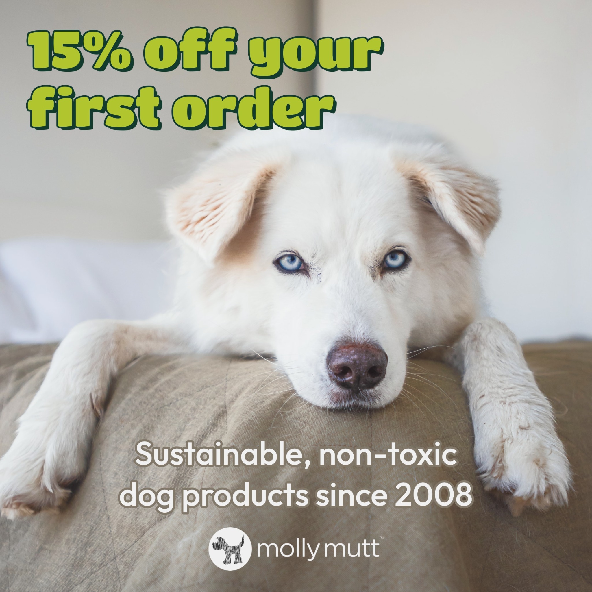 Molly Mutt Facebook ad
