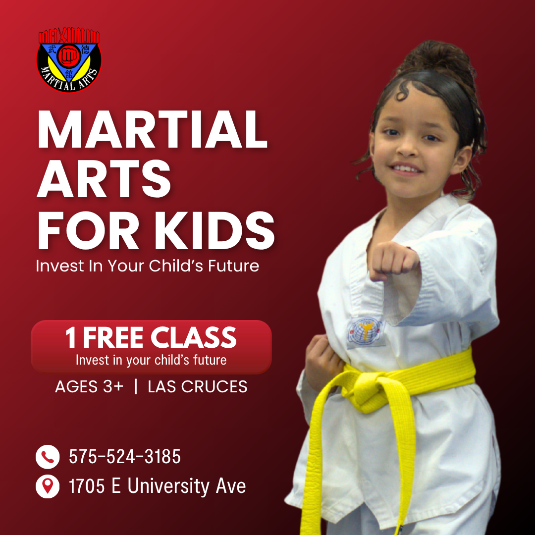 Maximum Martial Arts University Facebook ad