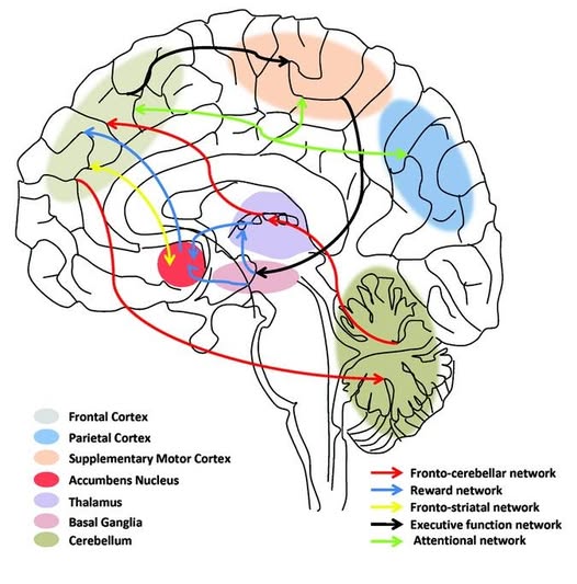 Sygeplejersken.com Facebook ad: Terapi og neurofeedback ved angst