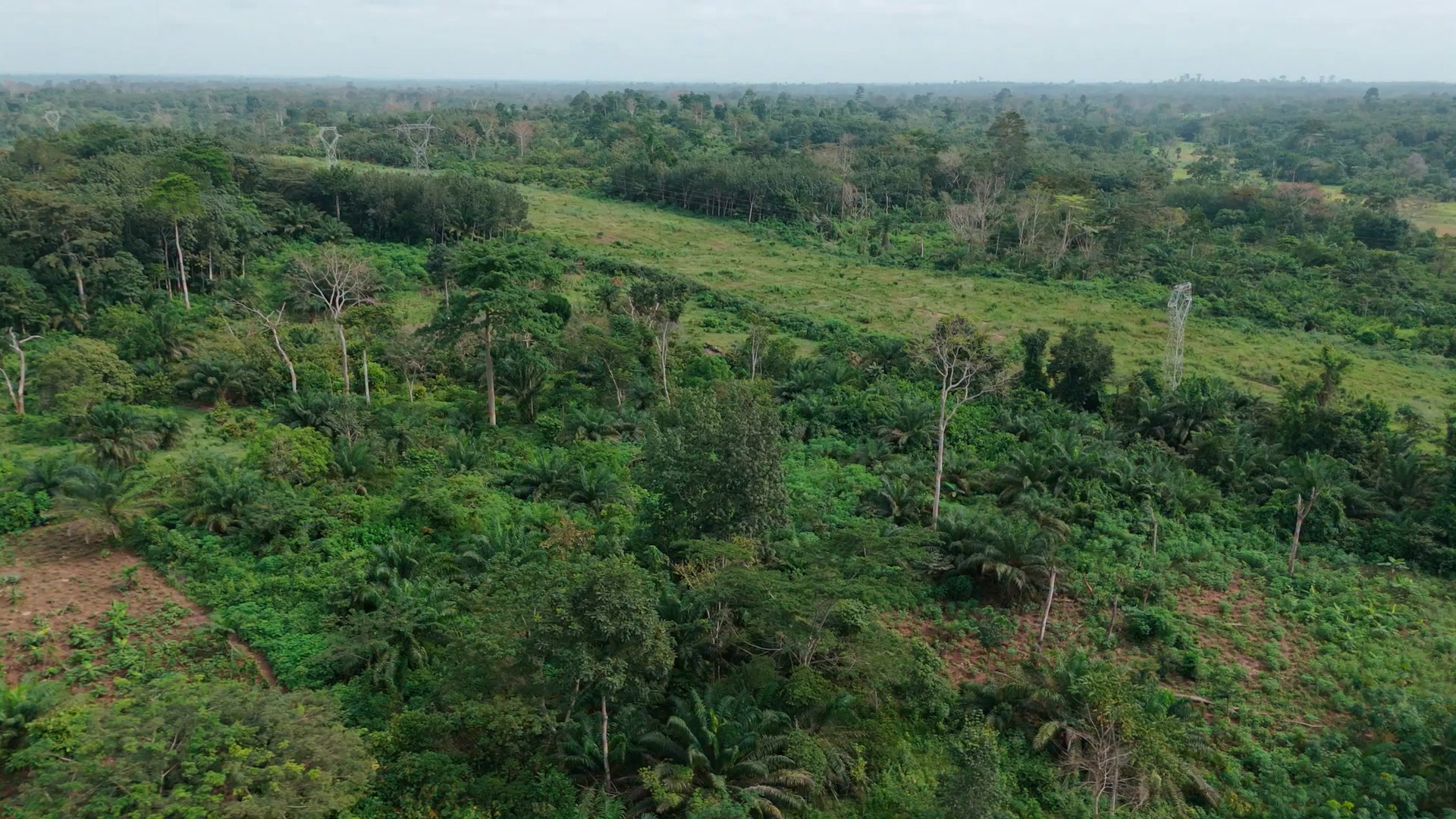 Nestlé Facebook ad: En Côte d'Ivoire, Nestlé opère en gérant de…