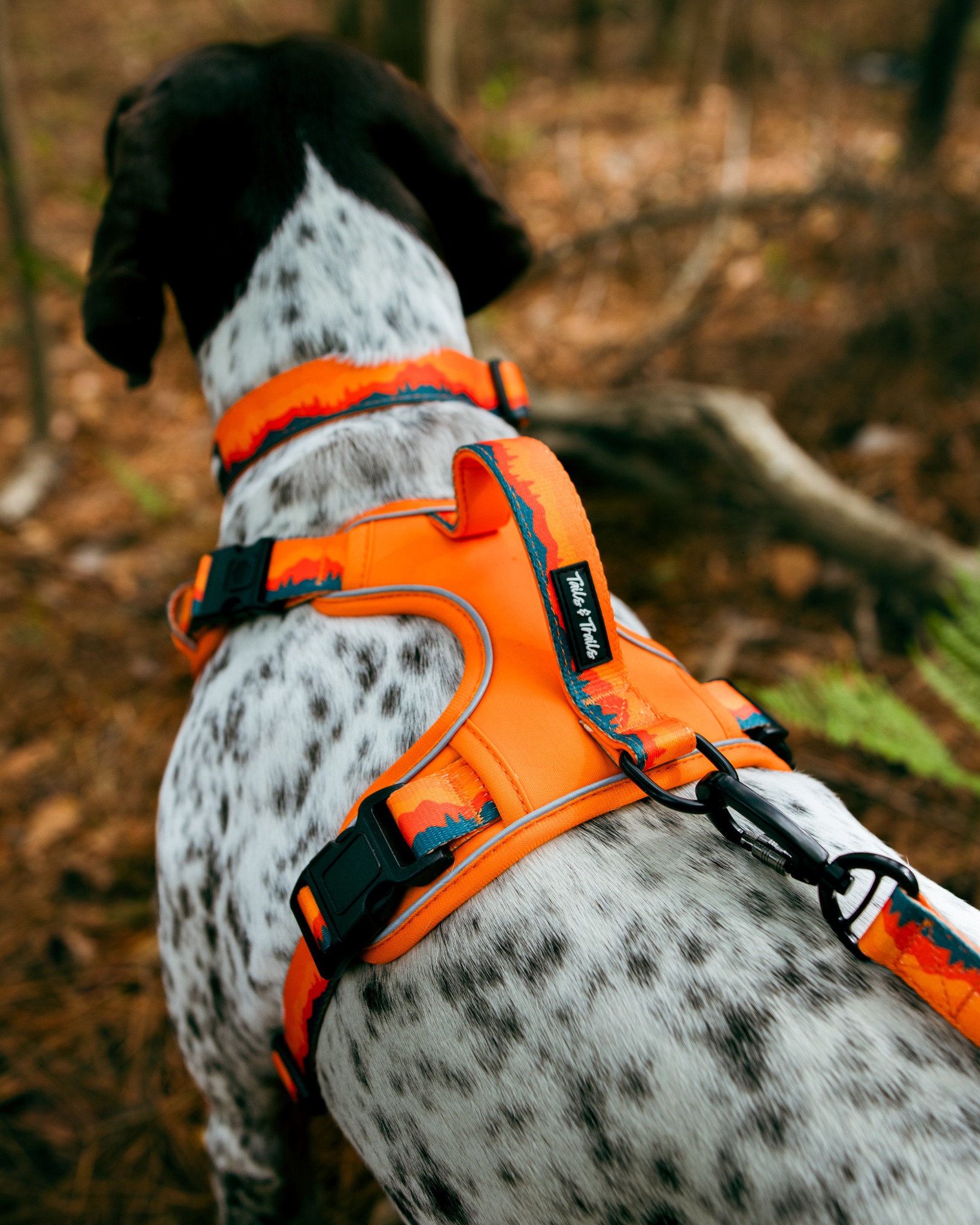 Tails and Trails Shop Facebook ad: Gear That Keeps Up
