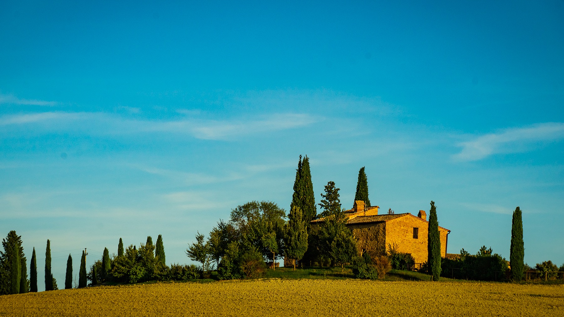 Lavande Farm Facebook ad: Enjoy this framed image on your