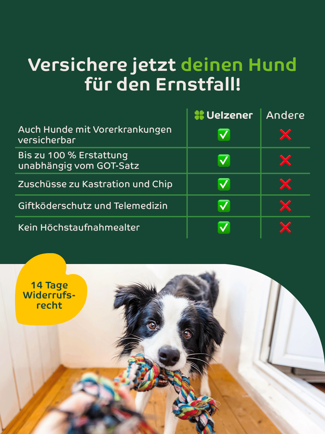 Uelzener Versicherungen Facebook ad: Uelzener Hunde-Versicherungen