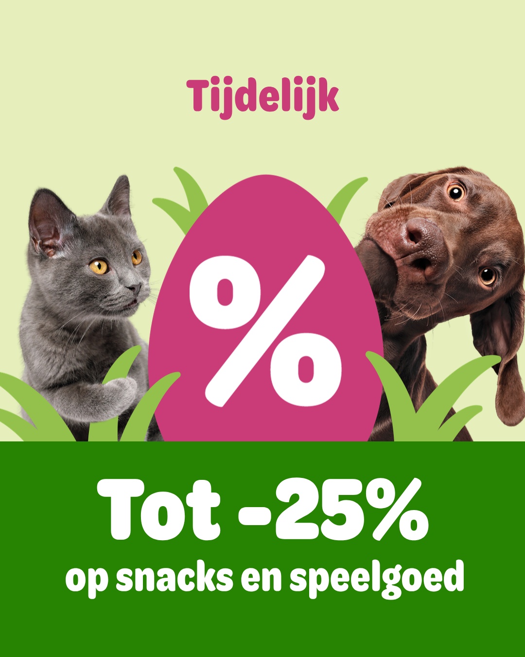 zooplus Facebook ad
