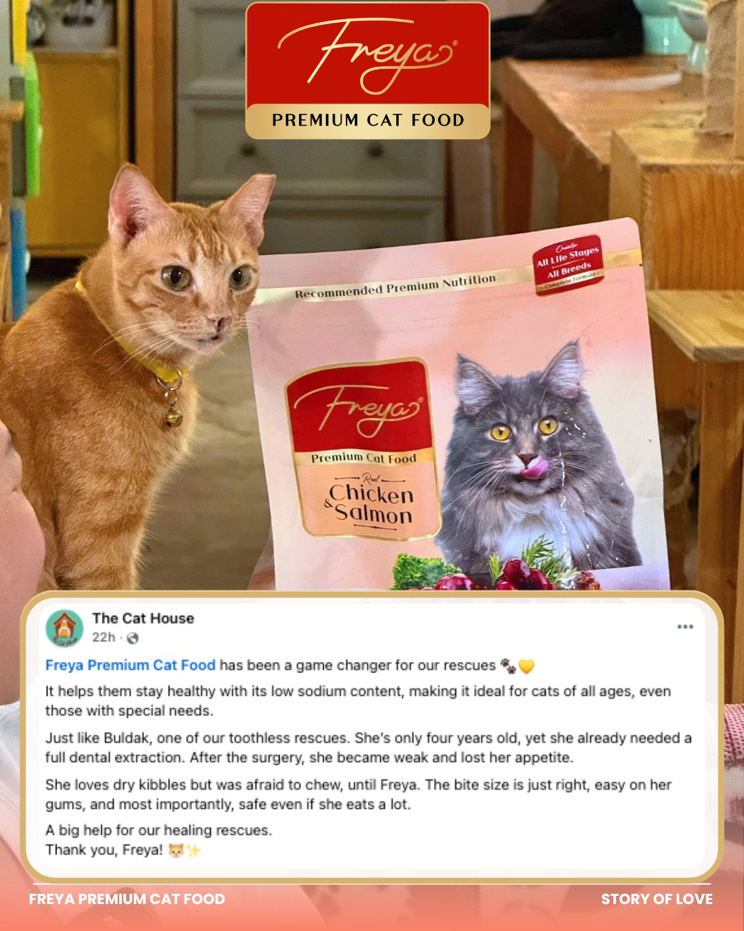 Freya Premium Cat Food Facebook ad