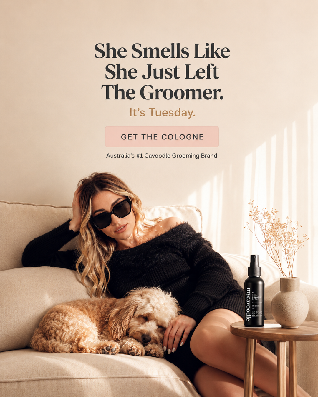 Mycavoodle.com.au Facebook ad