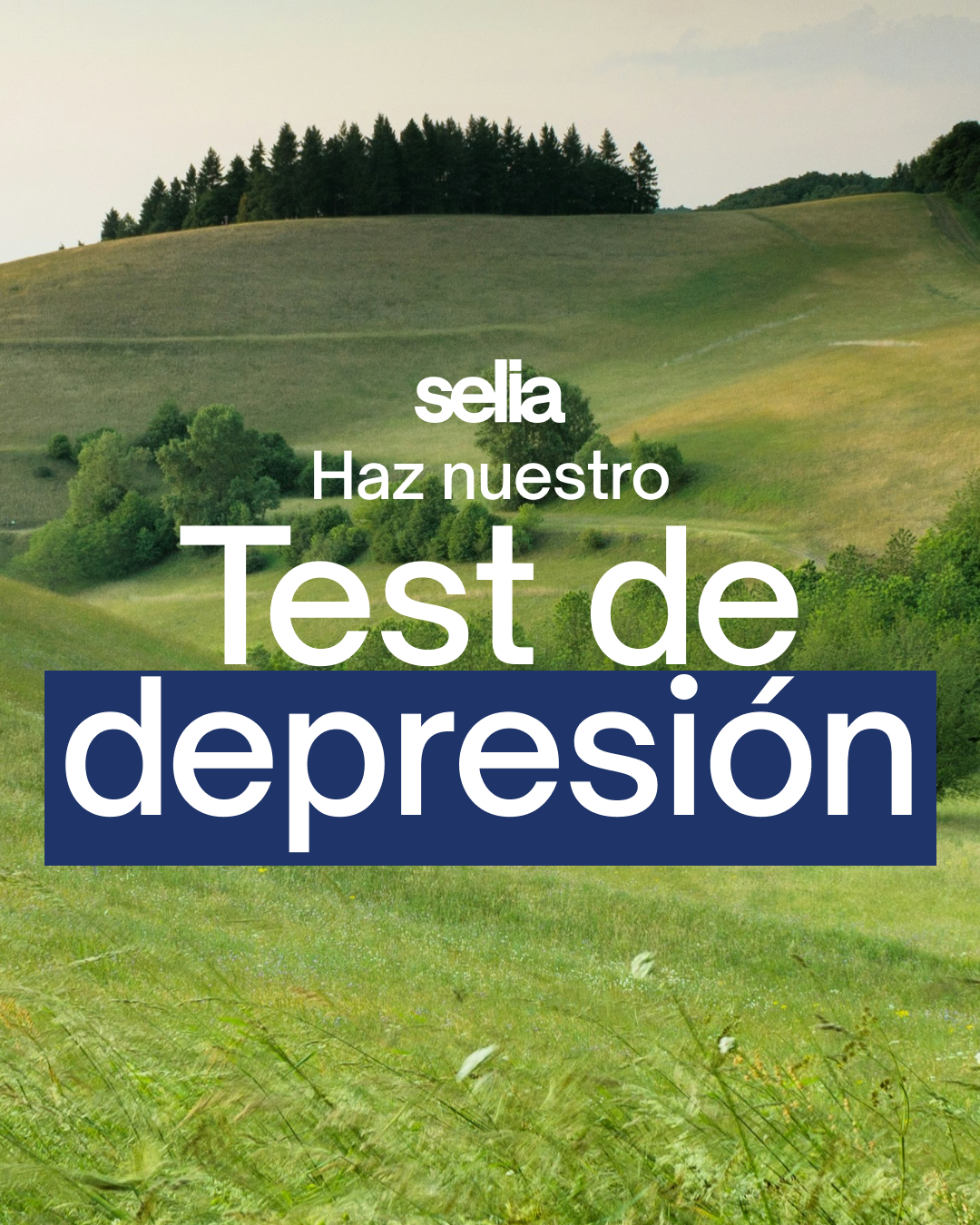 Selia Facebook ad