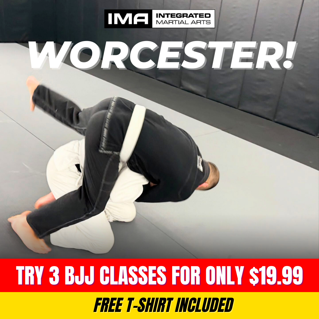 Integrated Martial Arts Worcester  Facebook ad