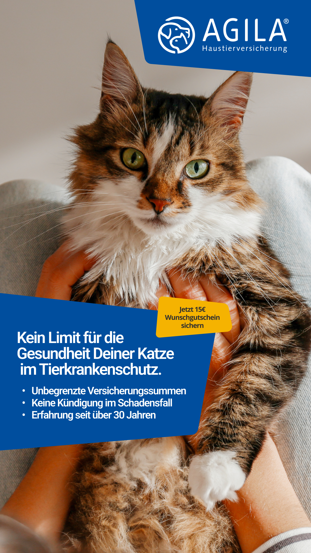 AGILA Haustierversicherung Facebook ad: AGILA Katzenversicherung