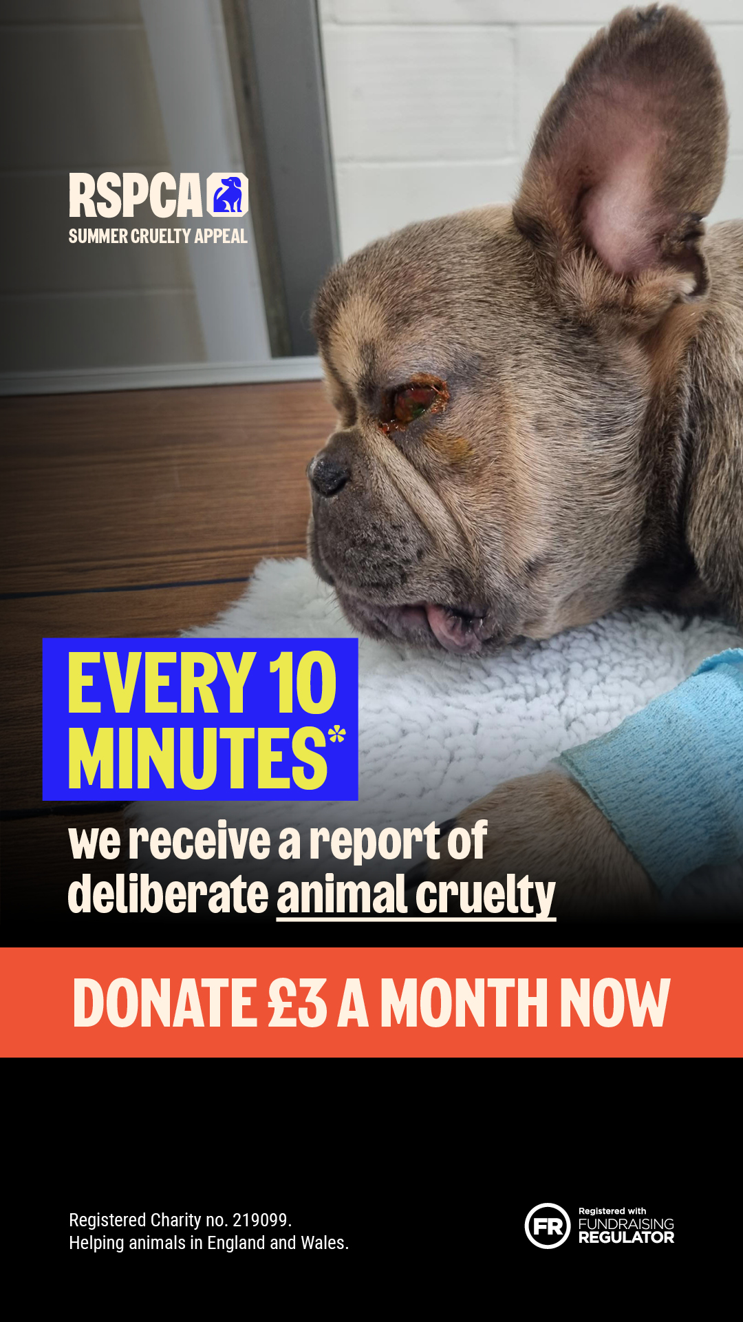 RSPCA (England & Wales) Facebook ad from Jun 29, 2026