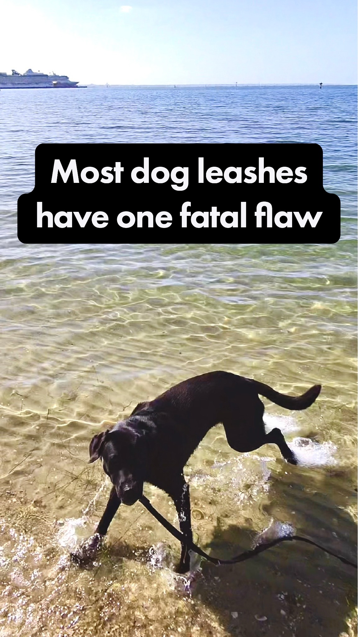Coda Dog Gear Facebook ad from Jul 26, 2026