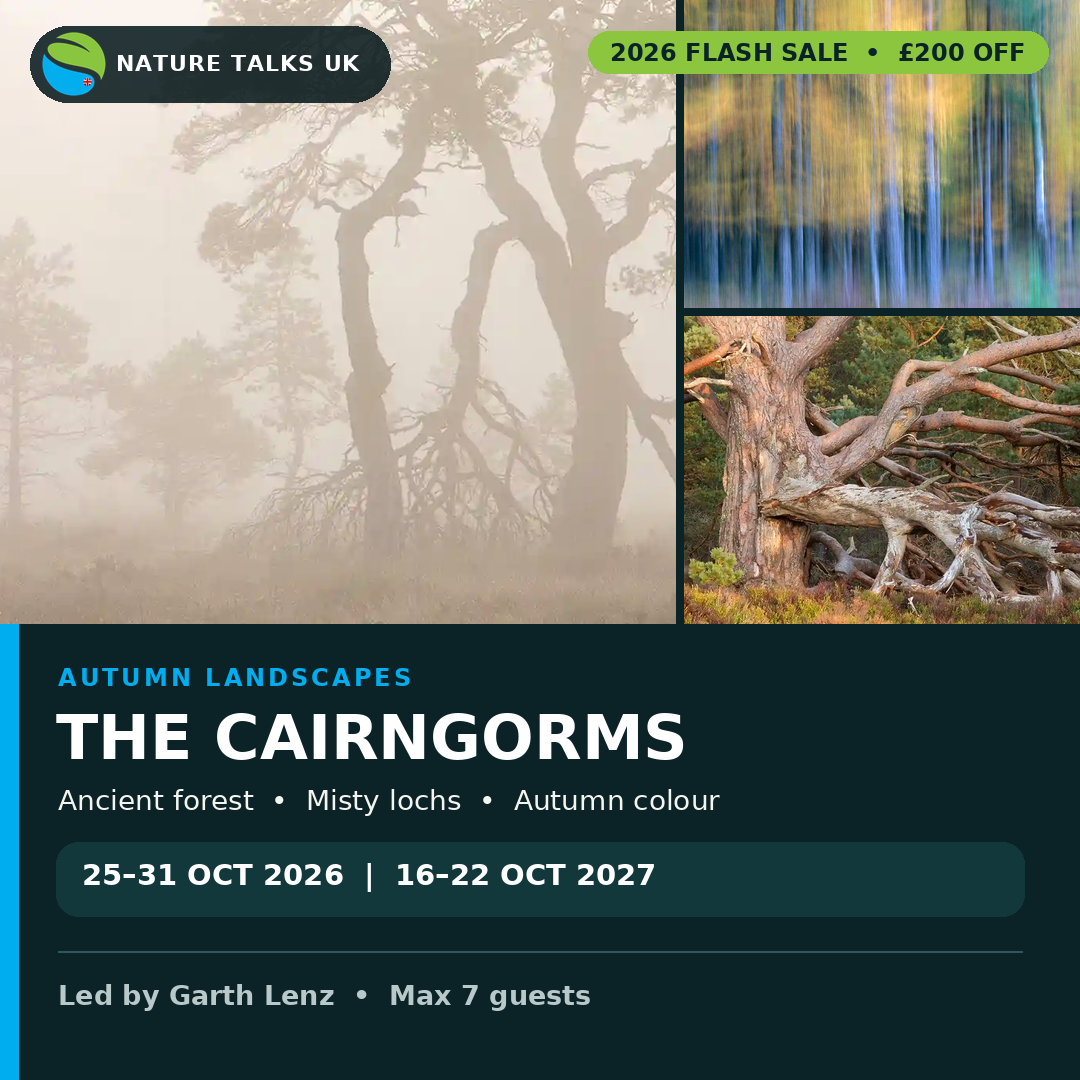 Nature Talks Photo Festival Facebook ad