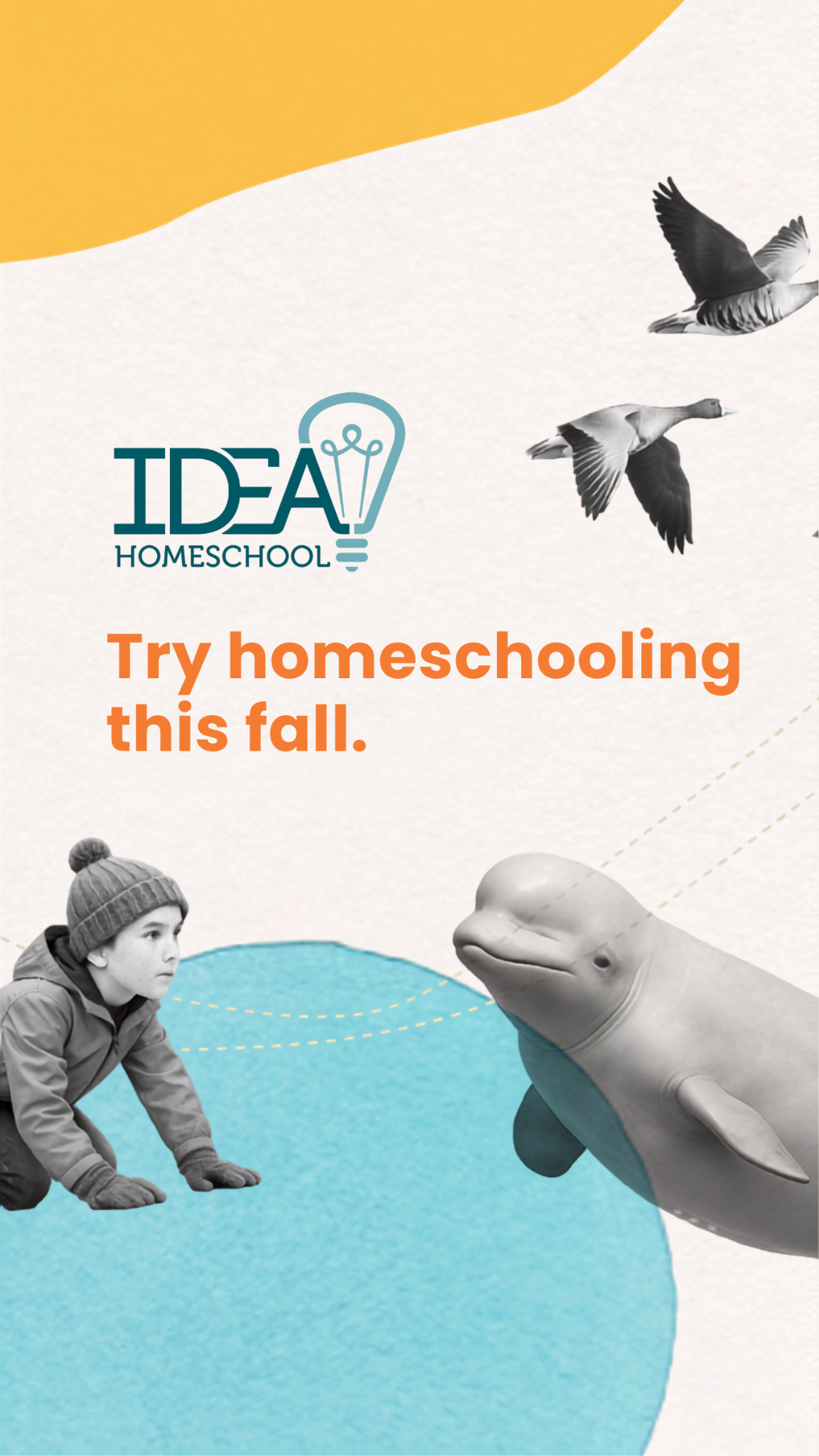 IDEA Homeschool Facebook ad from Jul 17, 2026