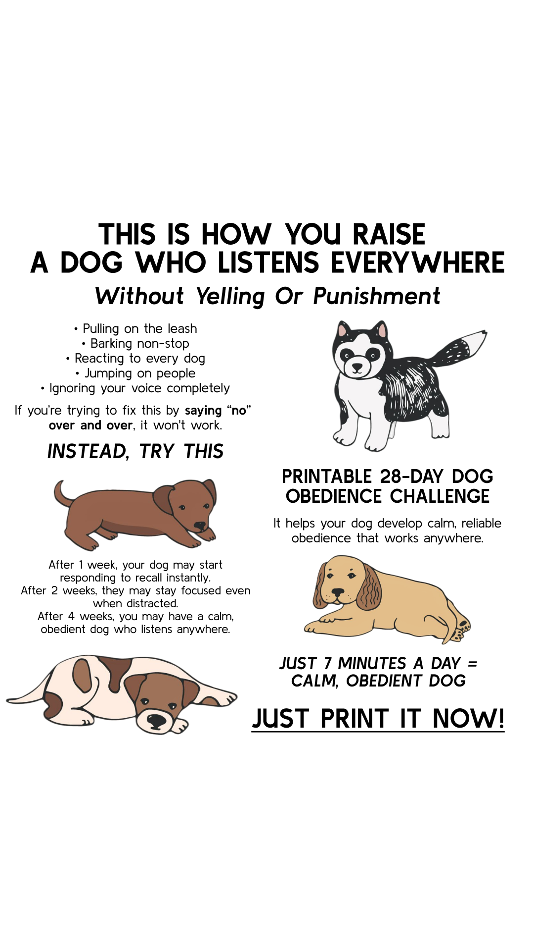 28 Day Dog Obedience Challenge Facebook ad