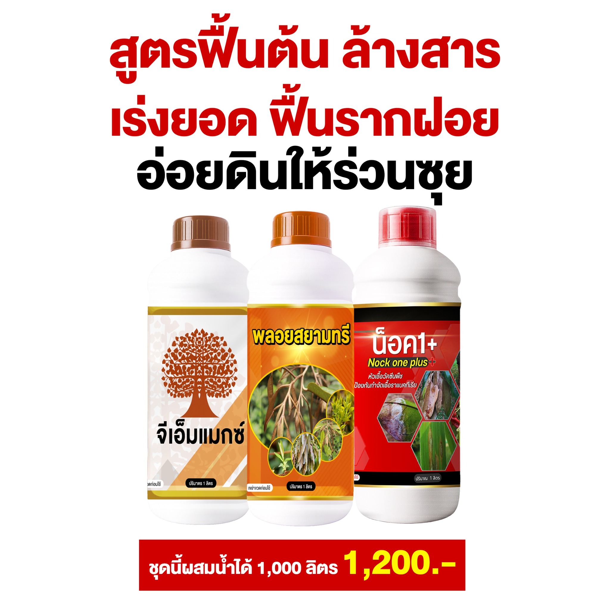 พลอยสยามพลัสจำหน่ายฮอร์โมนพืชรายใหญ่Tel.061-356-6353 Facebook ad: สายด่วน โทร 061-356-6353