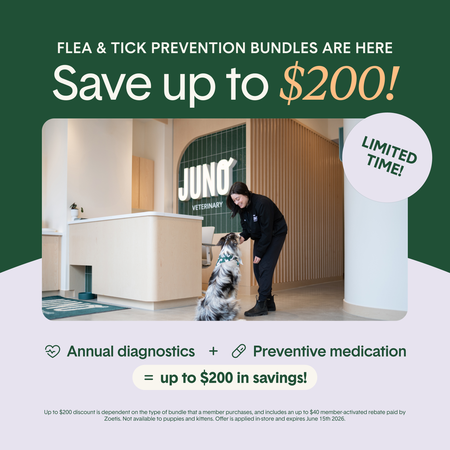 Juno Veterinary Facebook ad