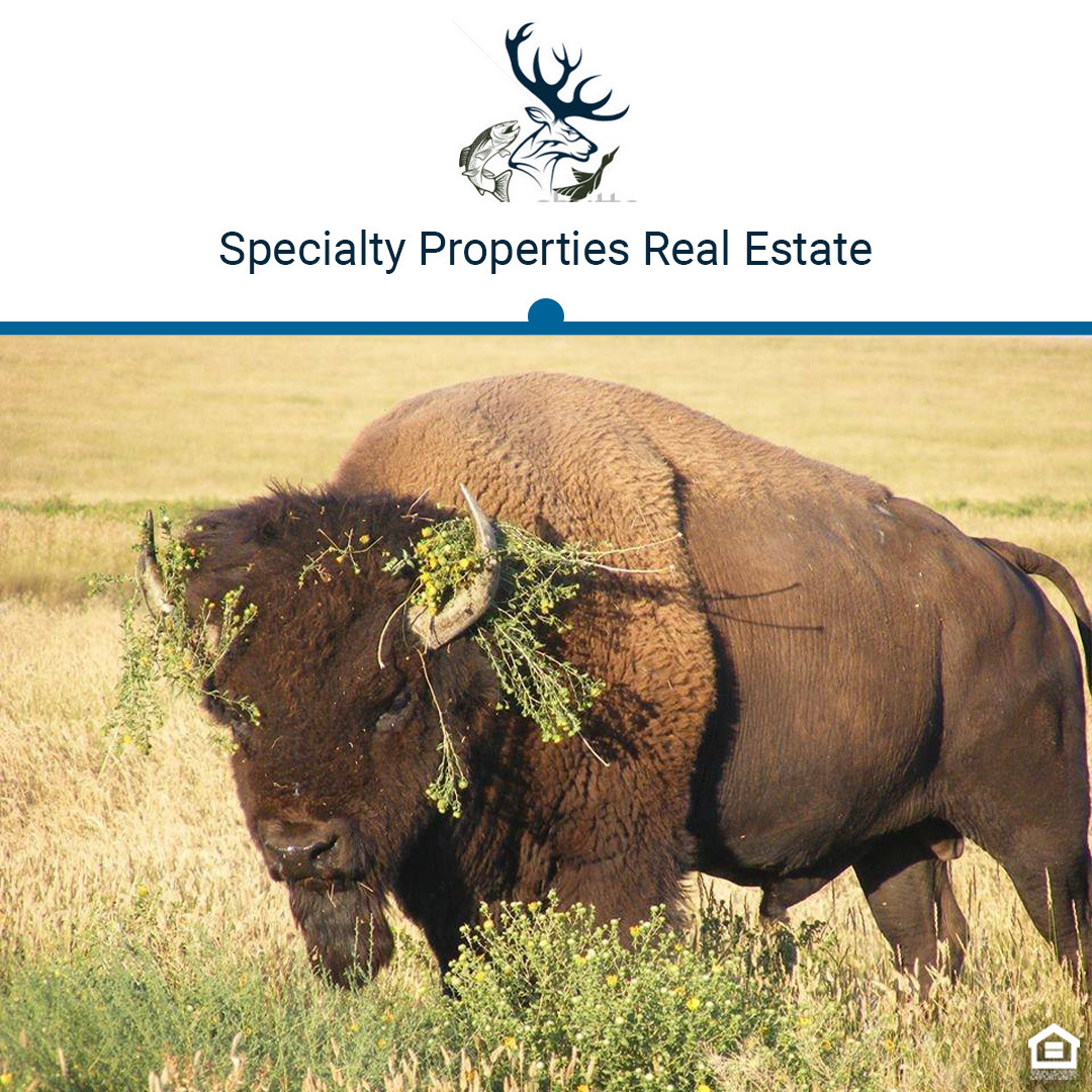 Specialty Properties Facebook ad: Dave Peterson 605.389.3335
