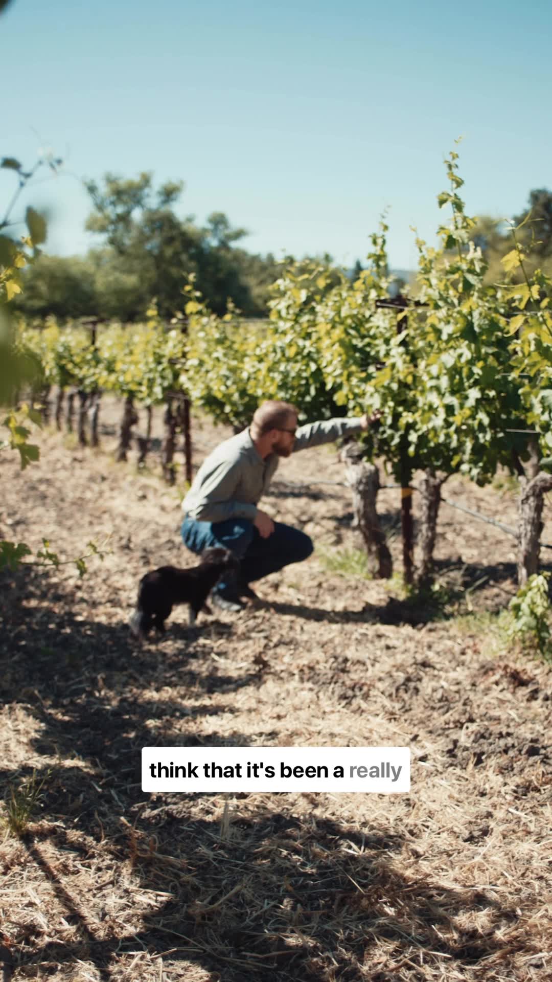 The Farmer's Dog Facebook ad from Jun 22, 2026