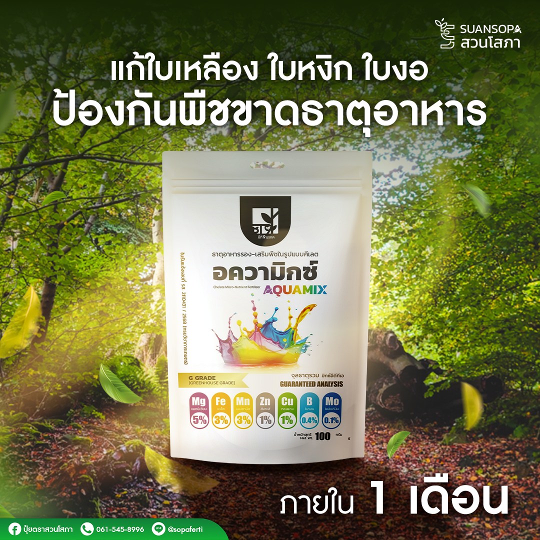 สวนโสภา Facebook ad