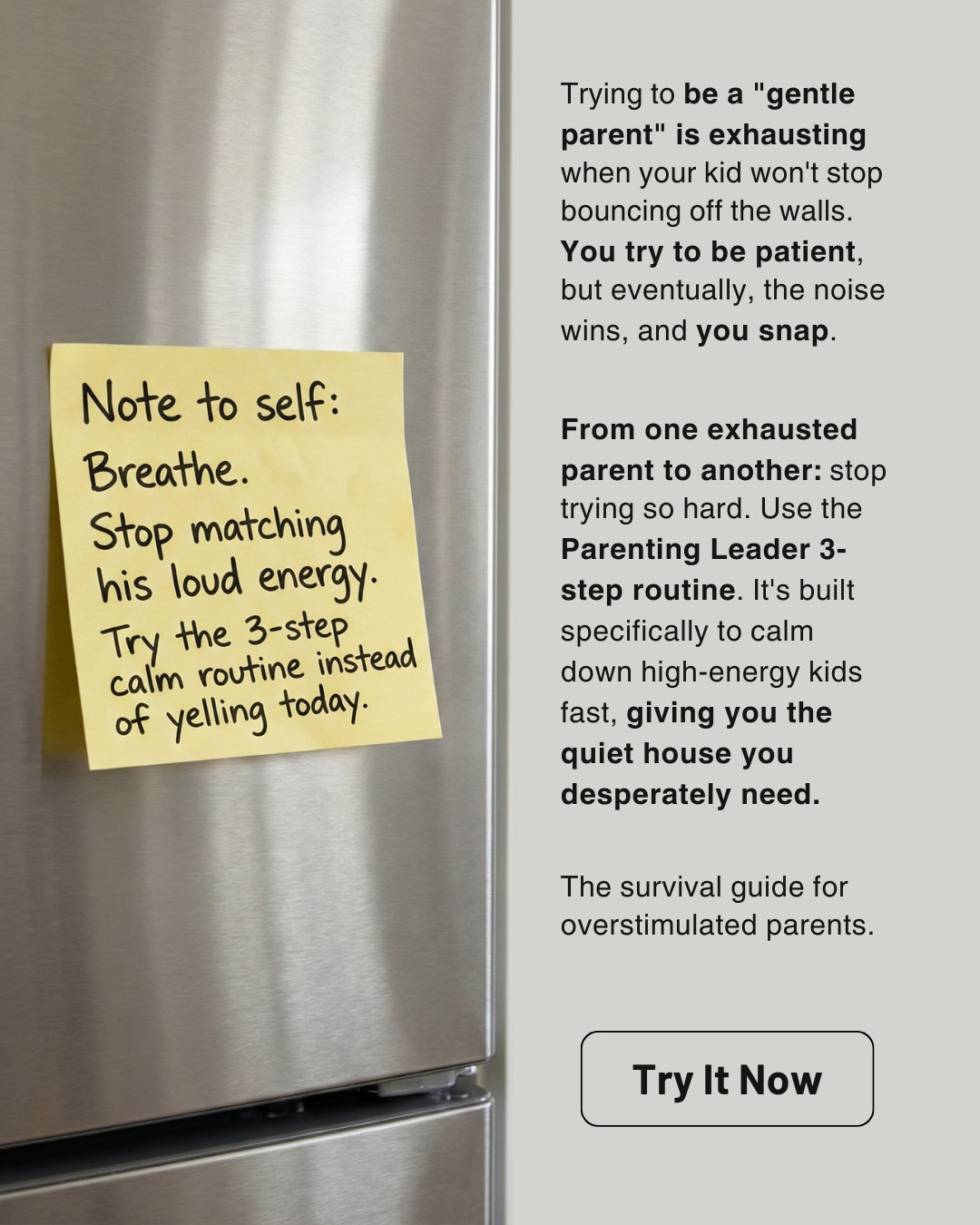 Parenting Leader Facebook ad