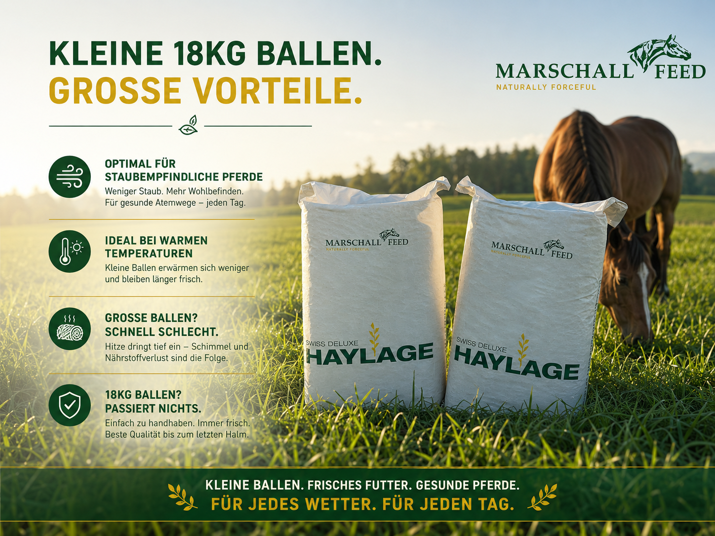 Marschall Feed Facebook ad: 18 kg Swiss Deluxe Haylage