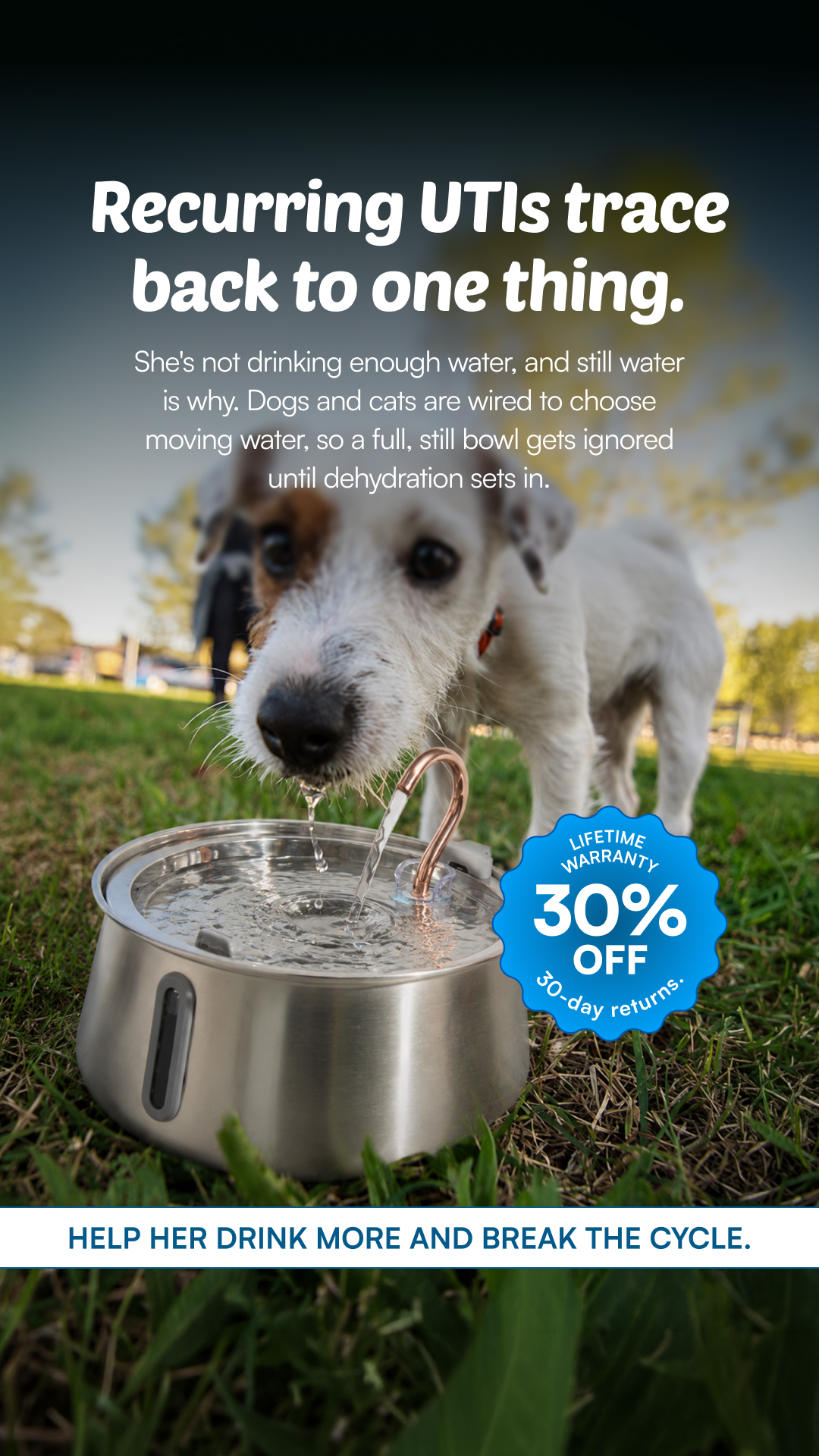 Rhykin Pet Co Facebook ad