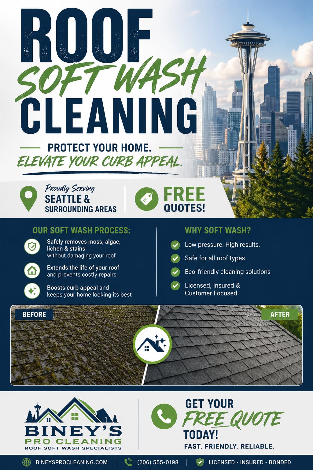 Biney's Pro Cleaning Facebook ad