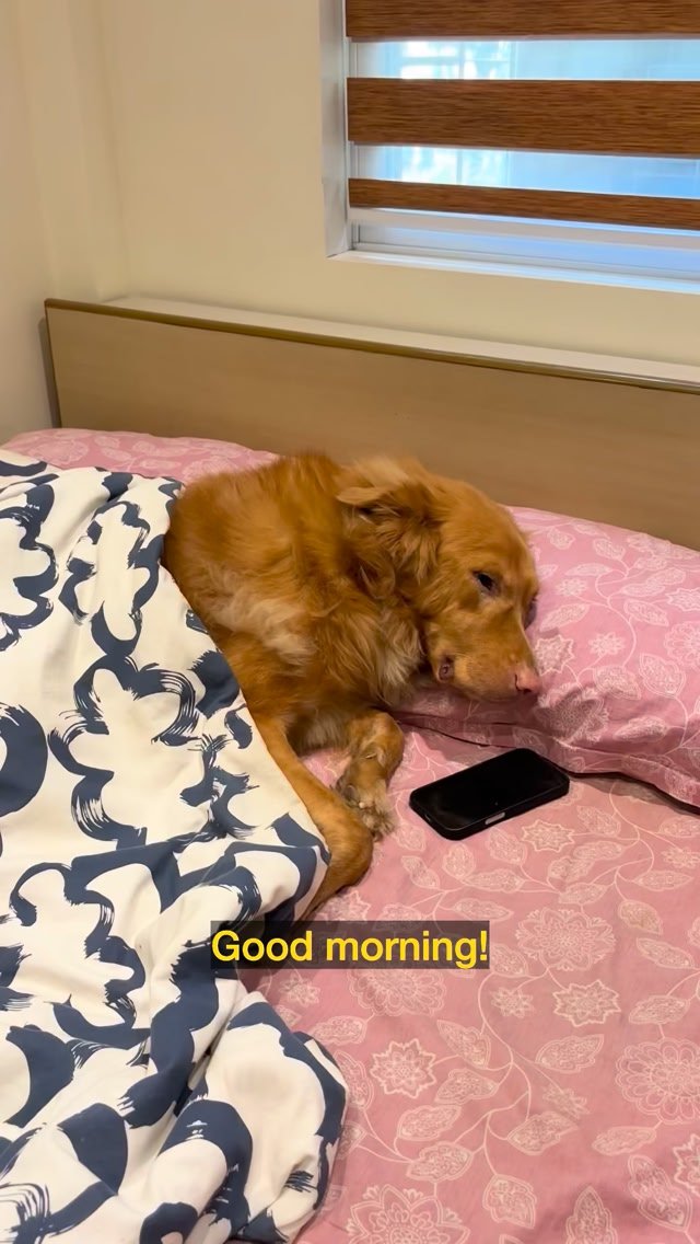 Pepsi & Leo Facebook ad: Welcome to Leo’s morning vlog, featuring a very…
