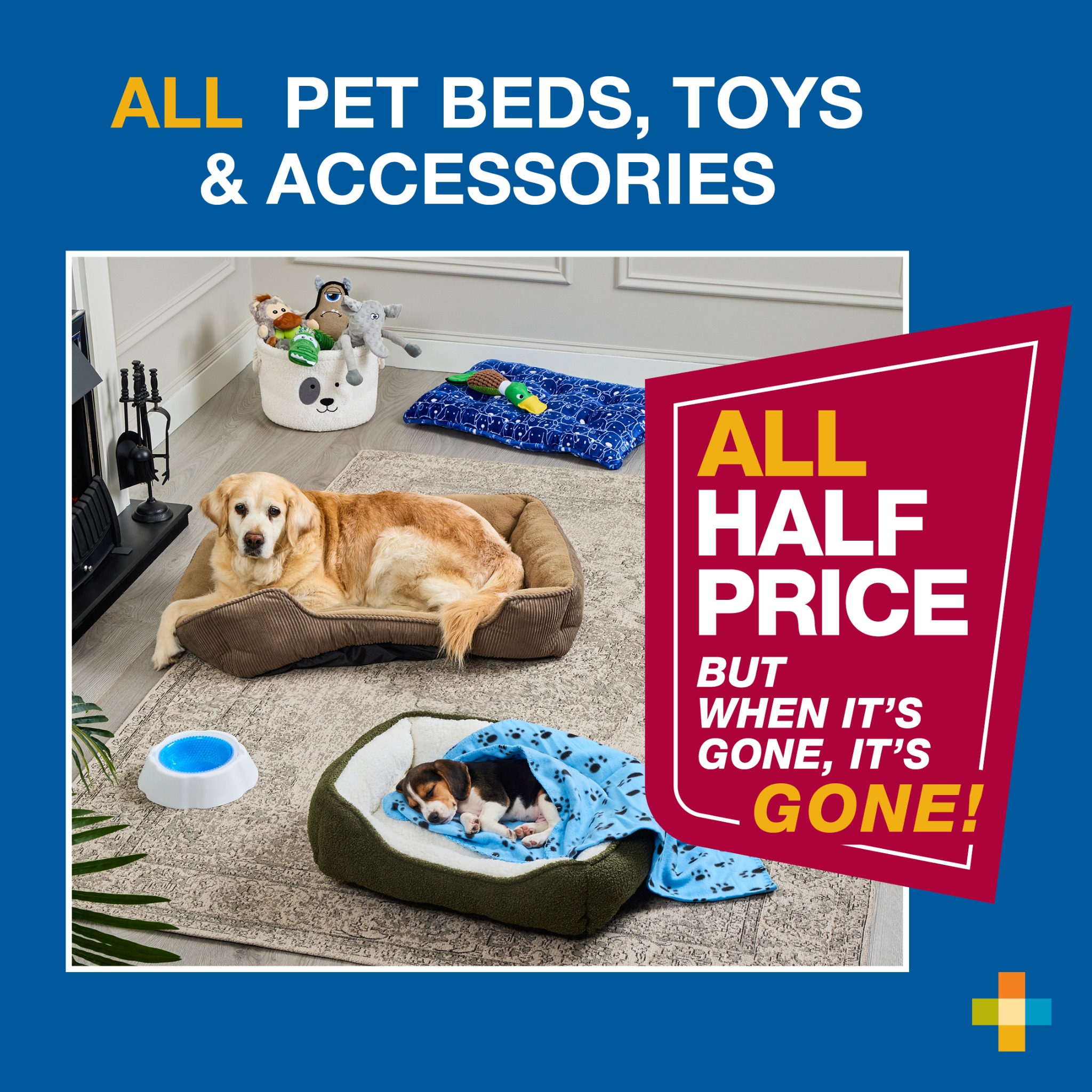 homestore and more Facebook ad: From 13/08/2026, New this week - ALL PET…