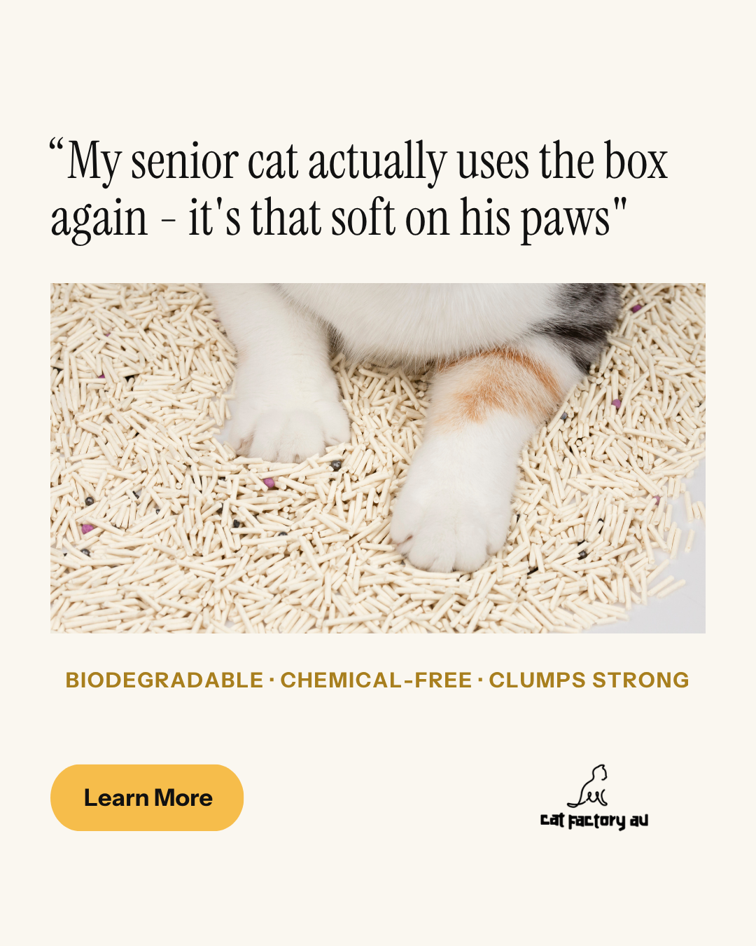 Cat Factory AU Facebook ad: Senior cat? Fussy cat? Sensitive paws? Try This