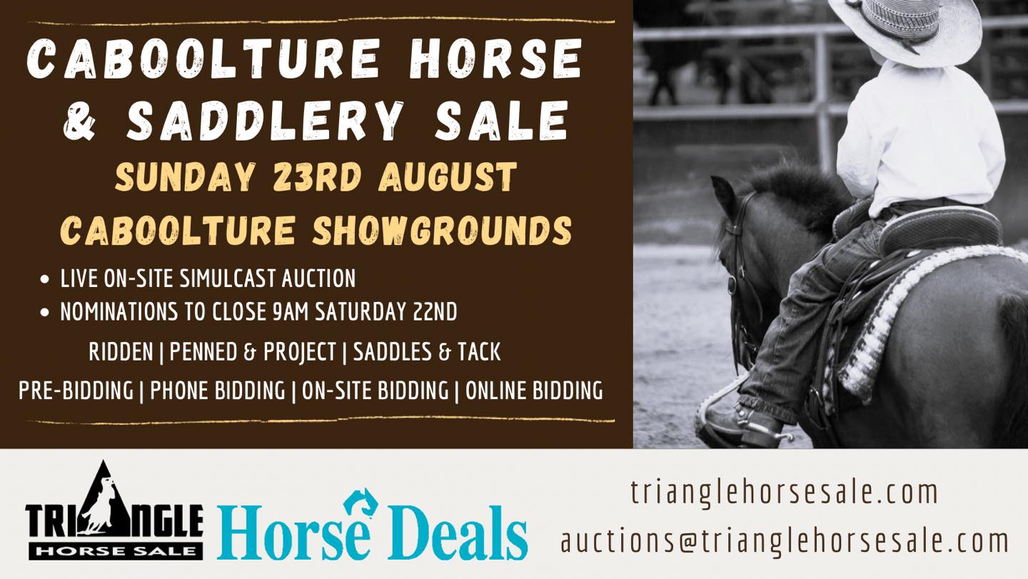 Triangle Horse Sale Facebook ad: Home | Triangle Horse Sale