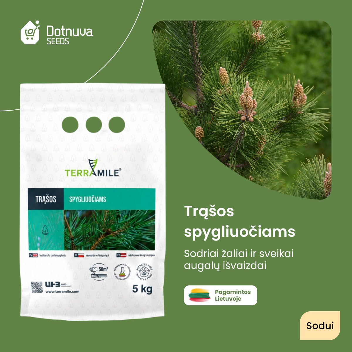 Dotnuva Seeds Facebook ad: Metas patręšti spygliuočius