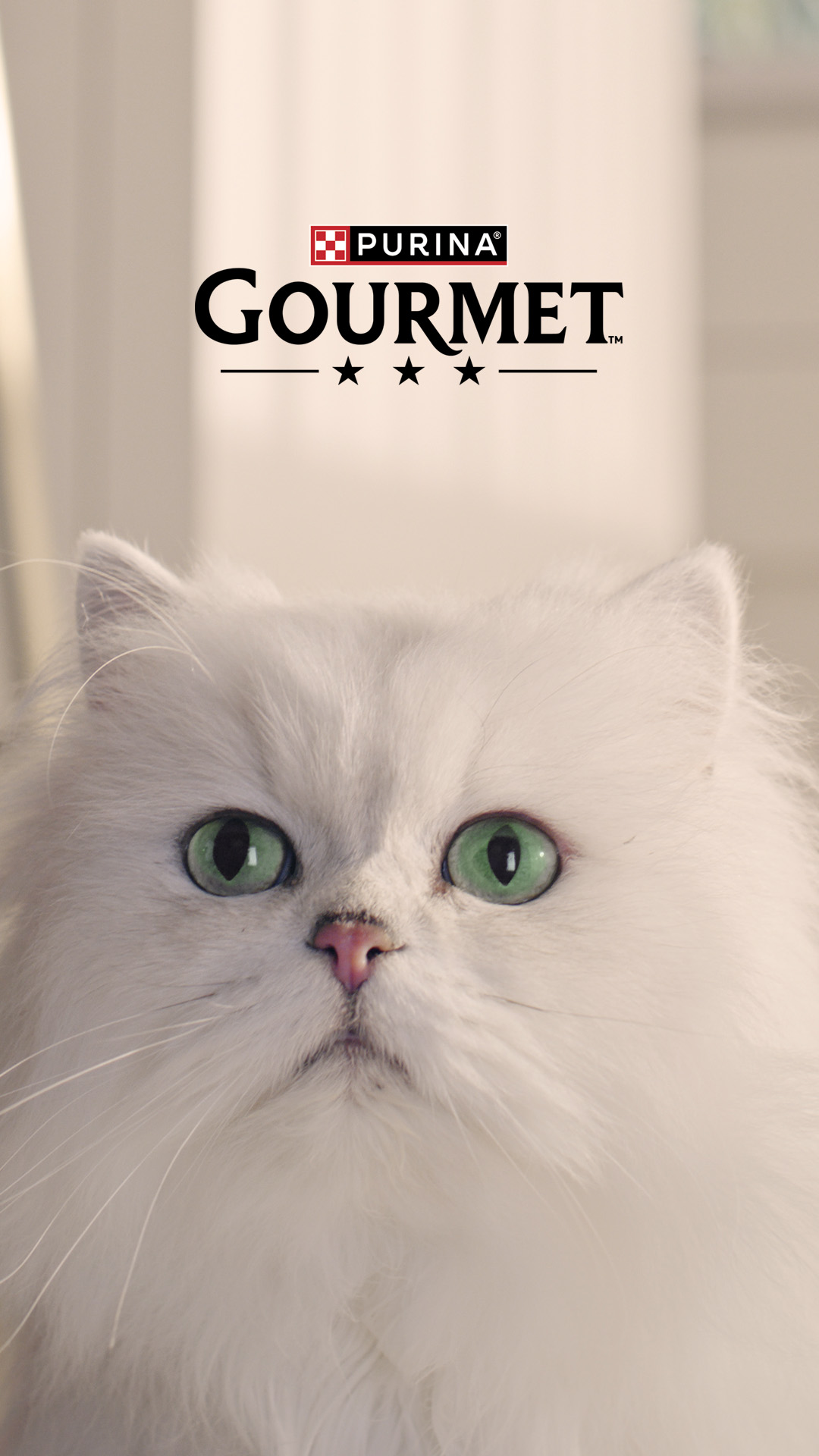 Purina España Facebook ad from May 17, 2026