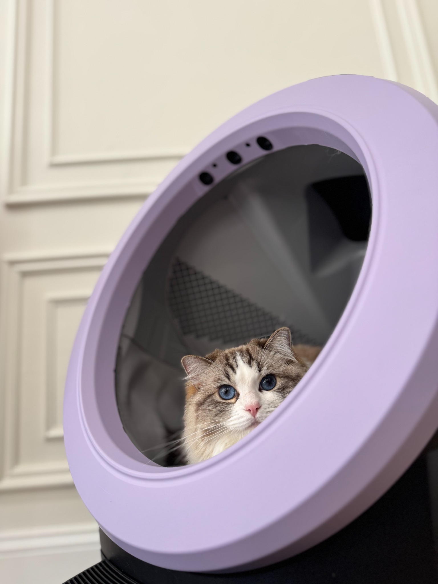 Litter-Robot by Whisker Facebook ad