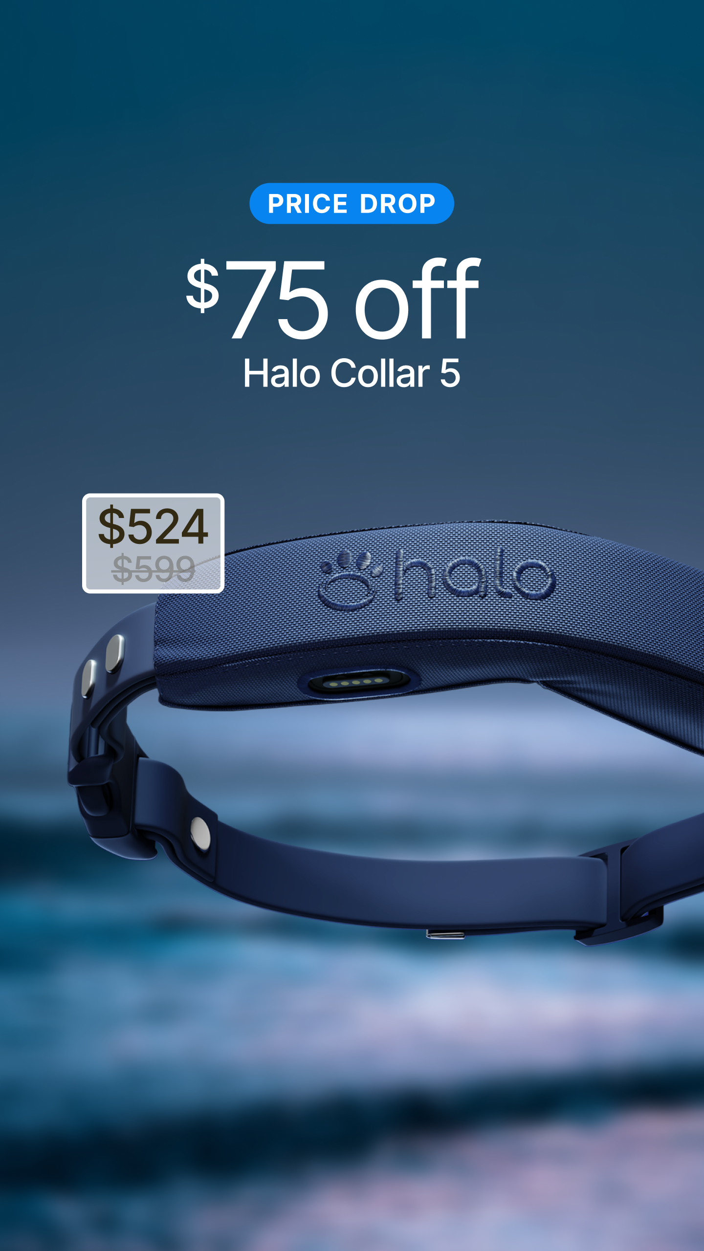 Halo Collar Facebook ad
