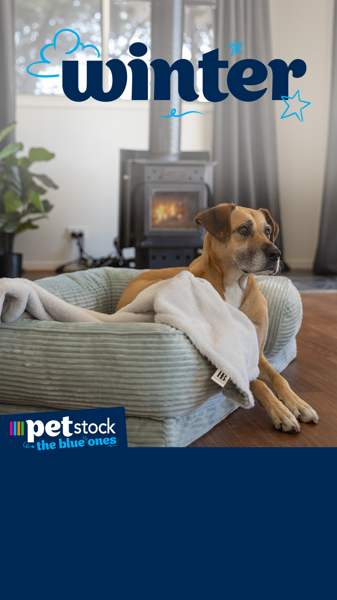 Petstock Facebook ad