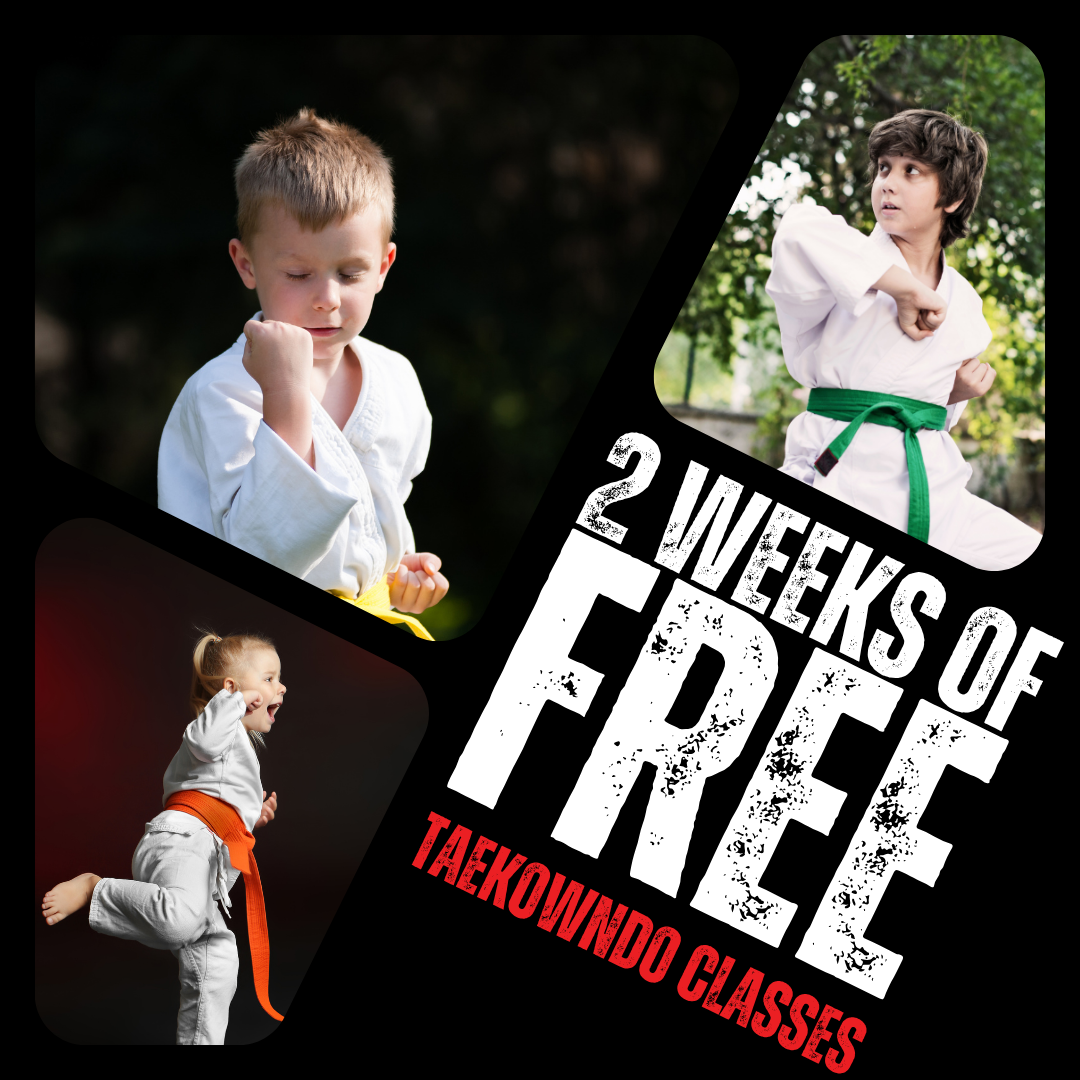 National Taekwondo Academy Facebook ad: 2 WEEKS OF FREE TAEKWONDO CLASSES!