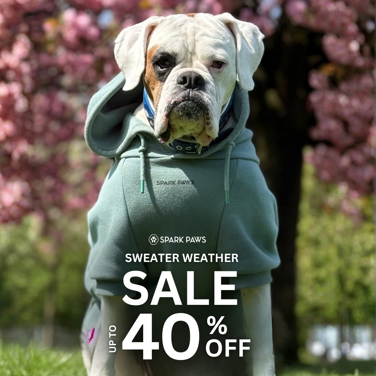 Spark Paws Facebook ad
