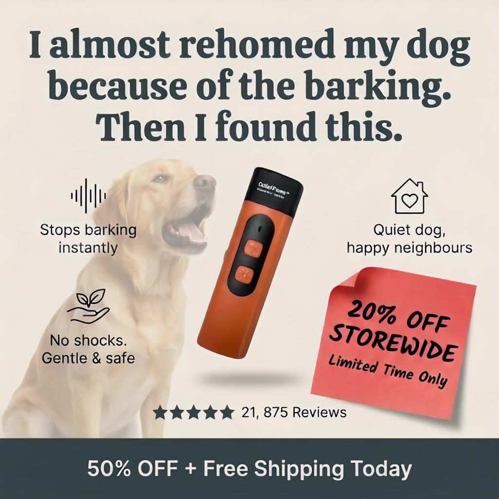 Hunters Doggy Daycare Facebook ad