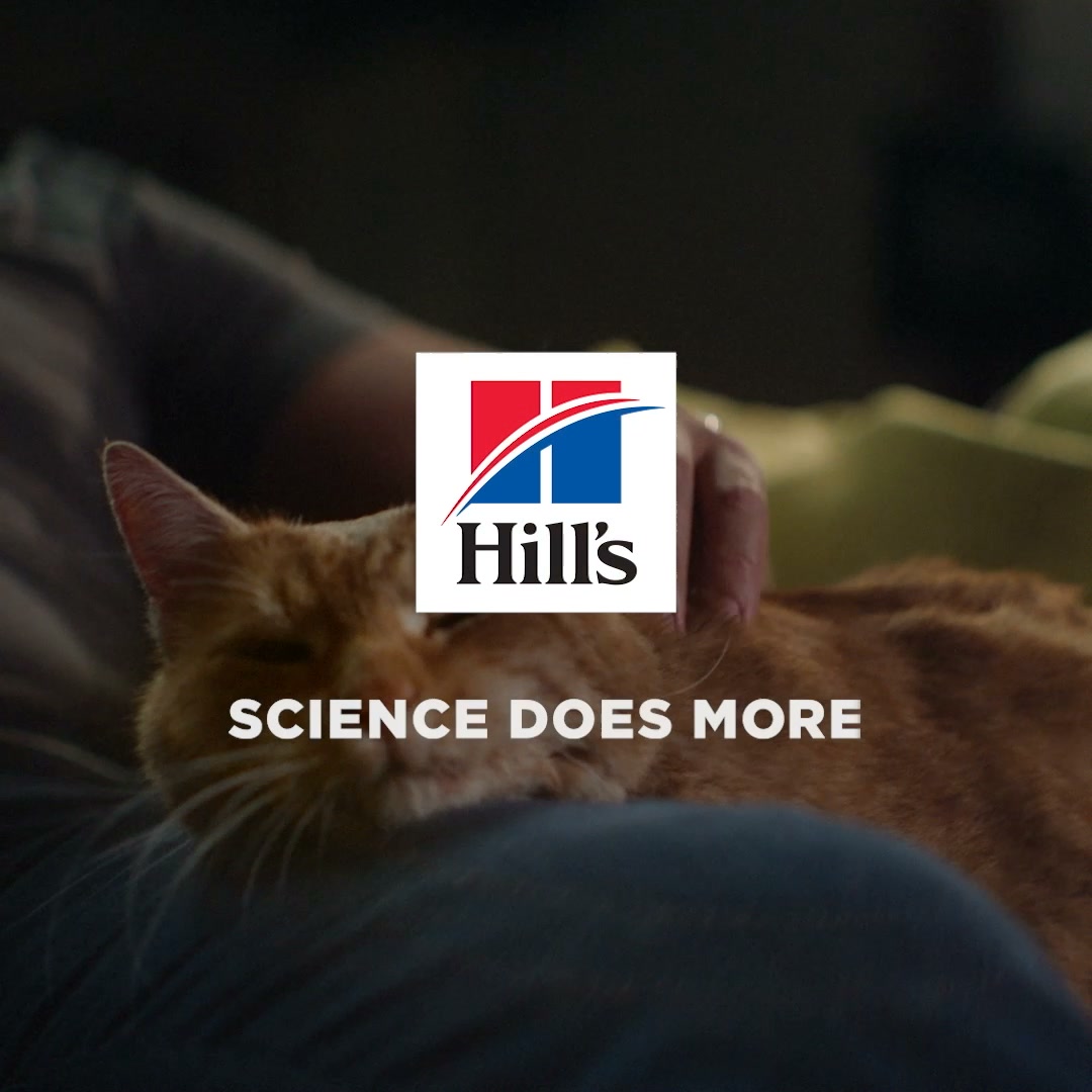 Hill’s Pet Nutrition UAE Facebook ad from Jun 30, 2026