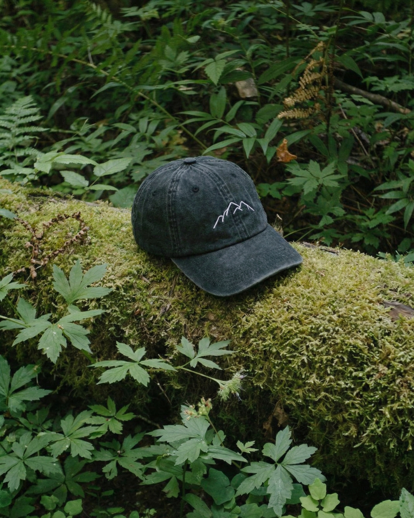 CAPS Apparel Facebook ad