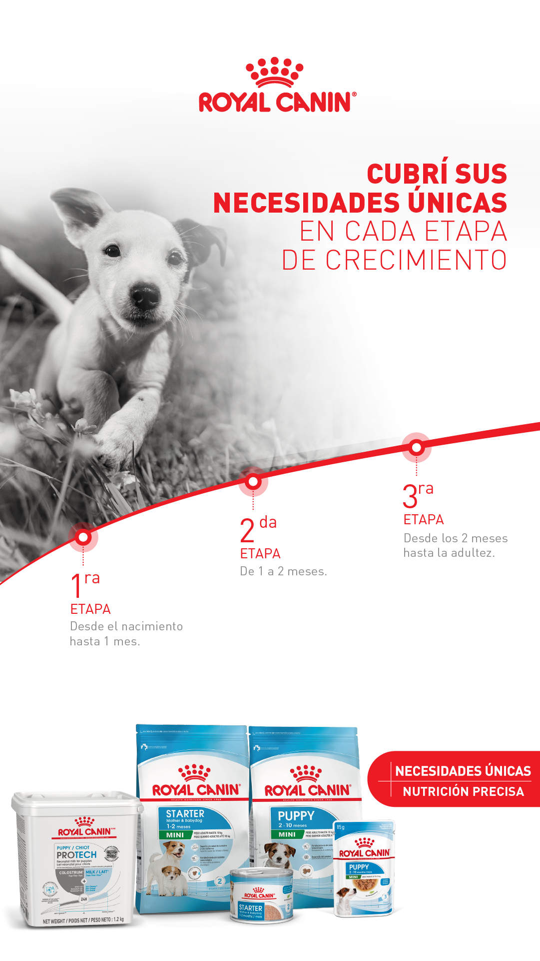 Royal Canin Facebook ad