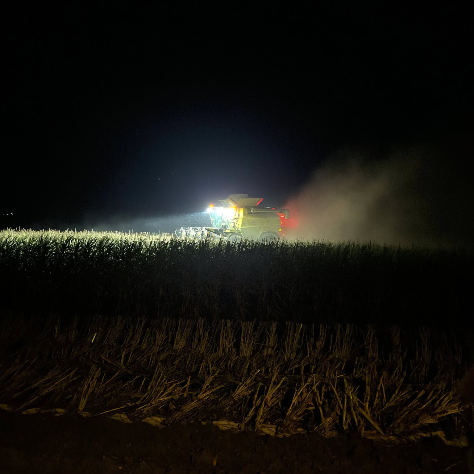 Luke Harris Facebook ad: This tool would have saved my sugarcane