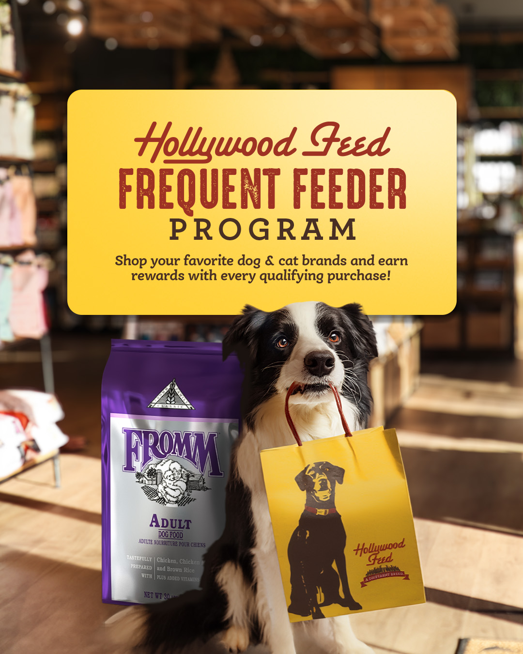 Hollywood Feed Facebook ad