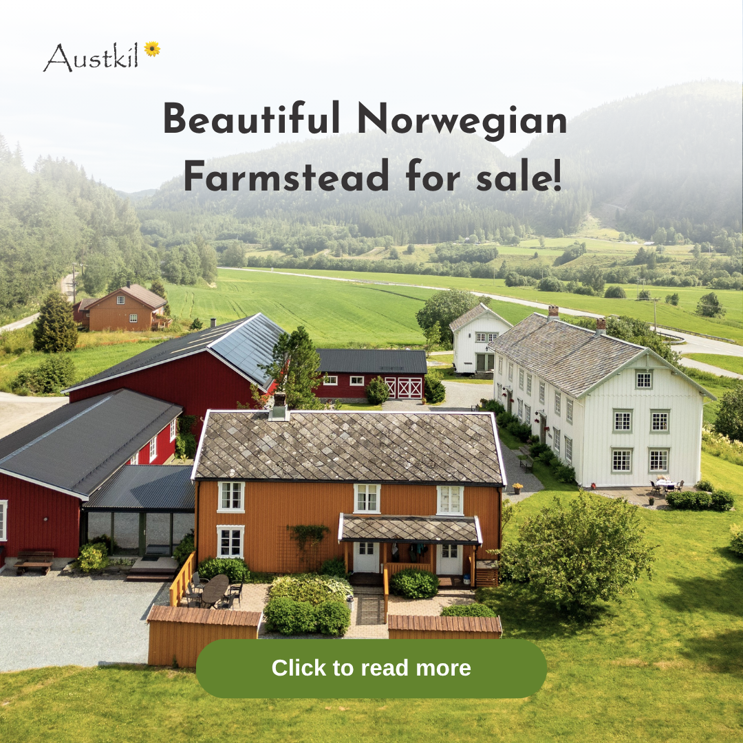 Austkil Facebook ad: Own a 260-Hectare Tourism Business in Norway (With Fishing…